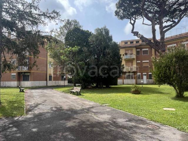 Appartamento in affitto a Fiumicino via Caorle, arredato, posto auto, servizio di portineria TrovaCasa