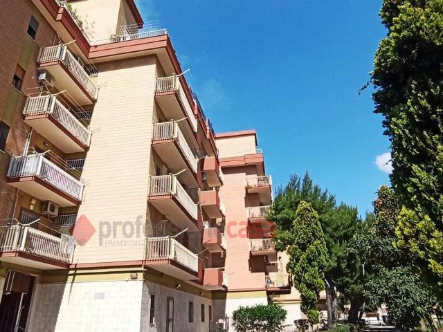 Appartamento in affitto a Foggia