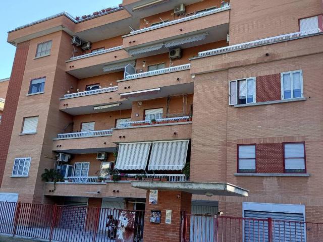 Appartamento in affitto a Foggia FG