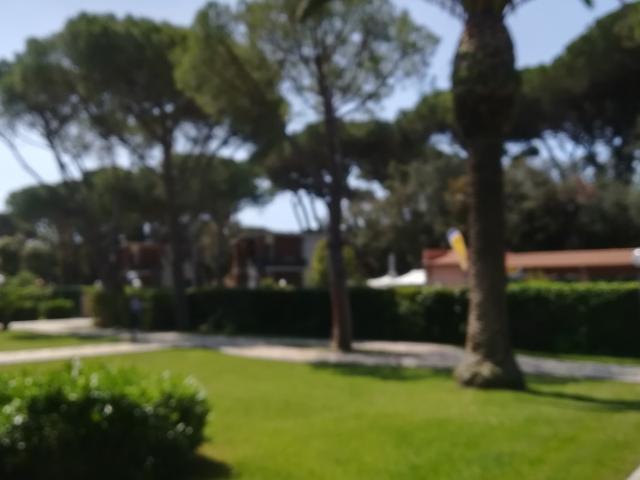 APPARTAMENTO in AFFITTO a FOLLONICA CENTRO