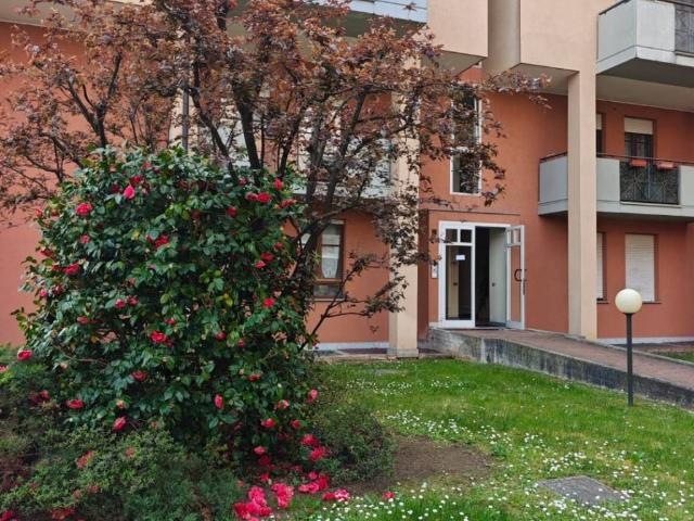 Appartamento in affitto a Gallarate VA