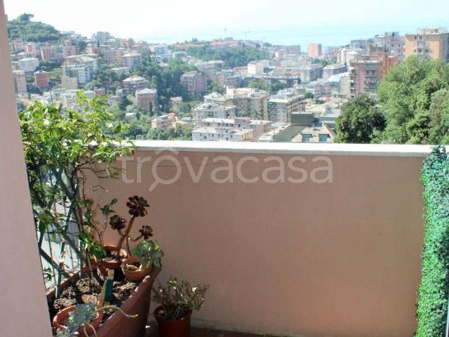 Appartamento in affitto a Genova via Giacomo Grasso, 7A, arredato, terrazzo, vista mare TrovaCasa