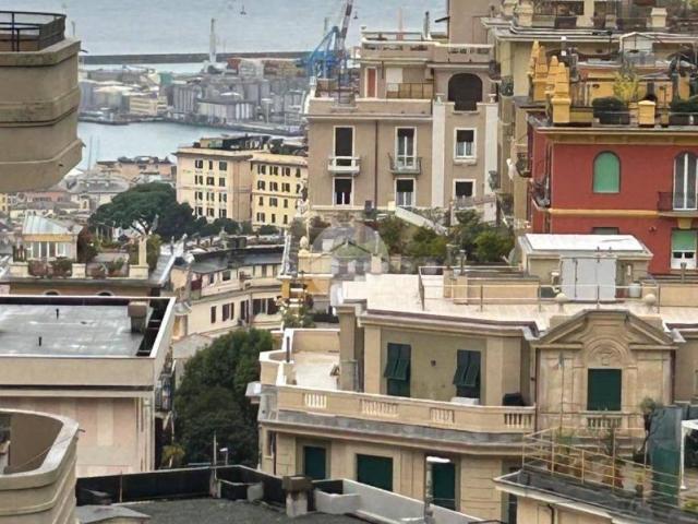 Appartamento in affitto a Genova via Federico Delpino, arredato, balcone, cucina abitabile TrovaCasa