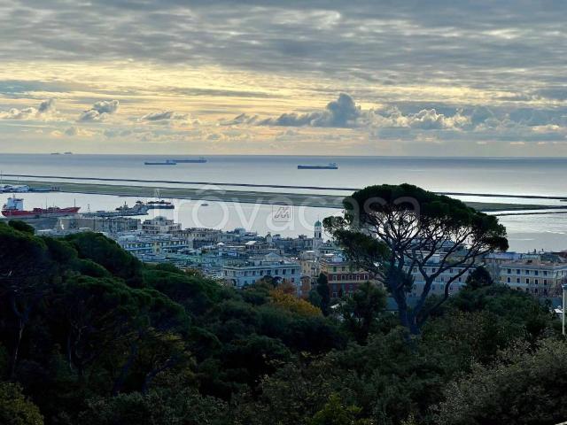 Appartamento in affitto a Genova via Vespucci TrovaCasa