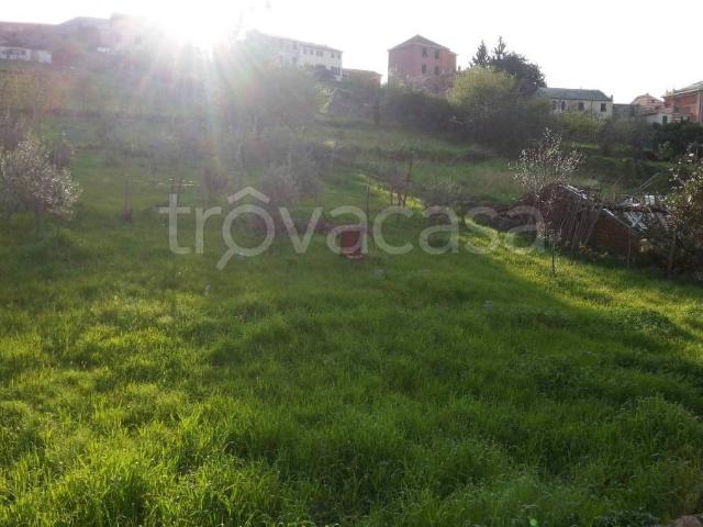 Appartamento in affitto a Genova via Virgo Potens, 5, arredato, cucina abitabile TrovaCasa