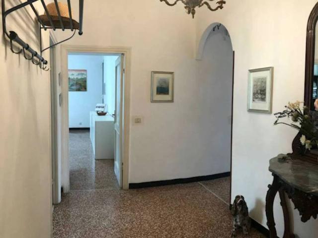 Appartamento in affitto a Genova GE
