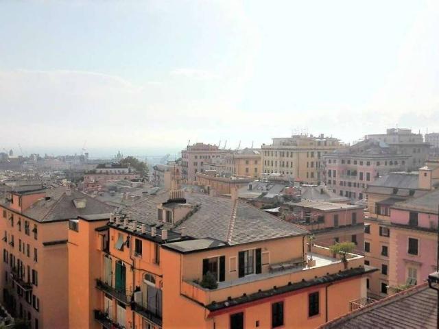 Appartamento in affitto a Genova GE