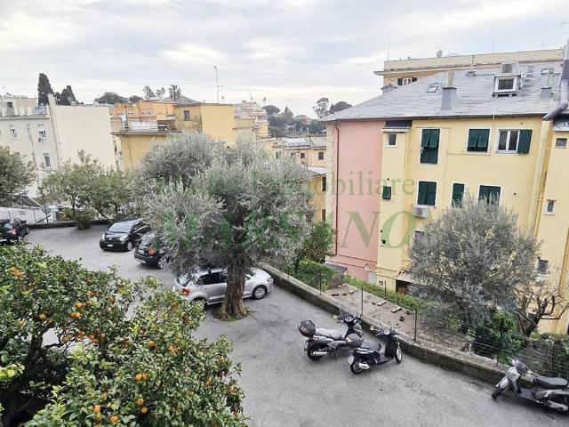 Appartamento in affitto a Genova GE