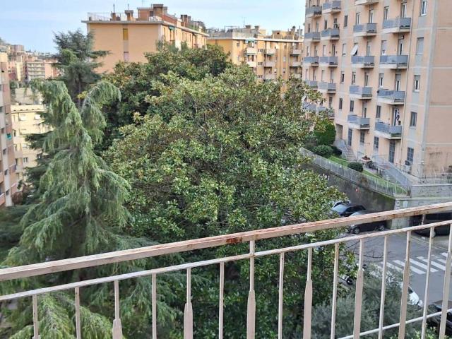 Appartamento in affitto a Genova GE