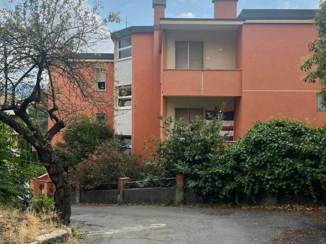 Appartamento in affitto a Genova GE