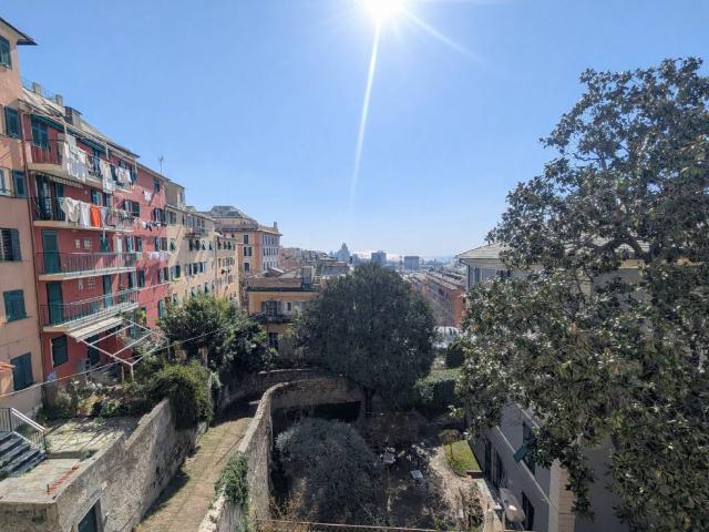 Appartamento in affitto a Genova GE
