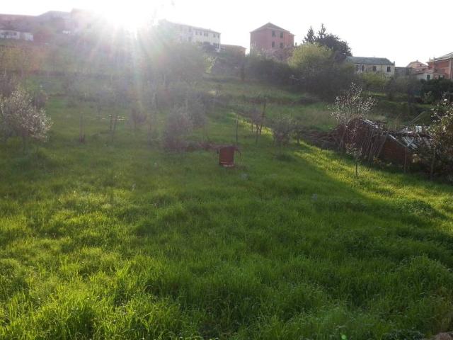 Appartamento in affitto a Genova GE
