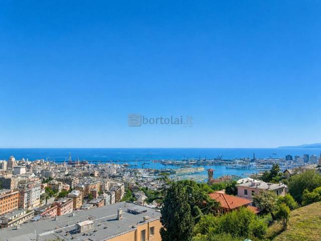 Appartamento in affitto a Genova GE