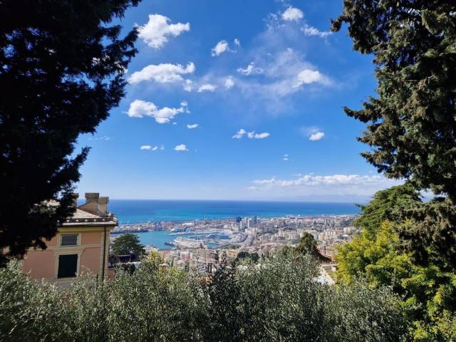 Appartamento in affitto a Genova GE