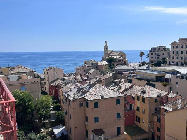 Appartamento in affitto a Genova GE