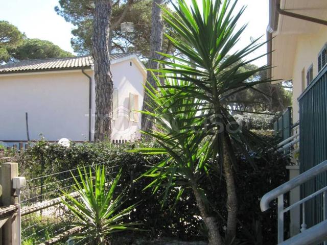 Appartamento in affitto a Grosseto via Del Tombolo, giardino, cantina, angolo cottura TrovaCasa