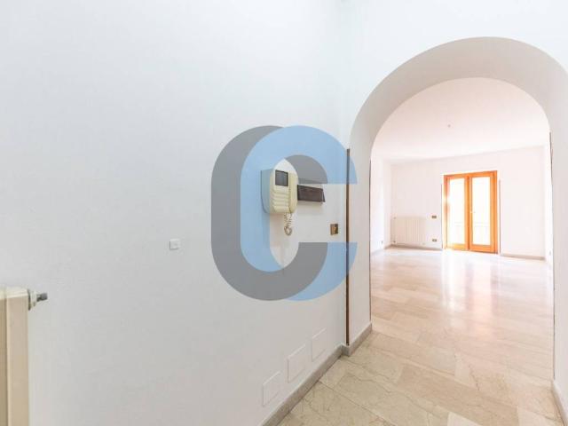 Appartamento in affitto a Grottaferrata RM