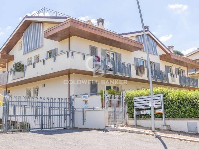 Appartamento in affitto a Grottaferrata RM