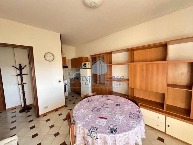 Appartamento in affitto a Luni