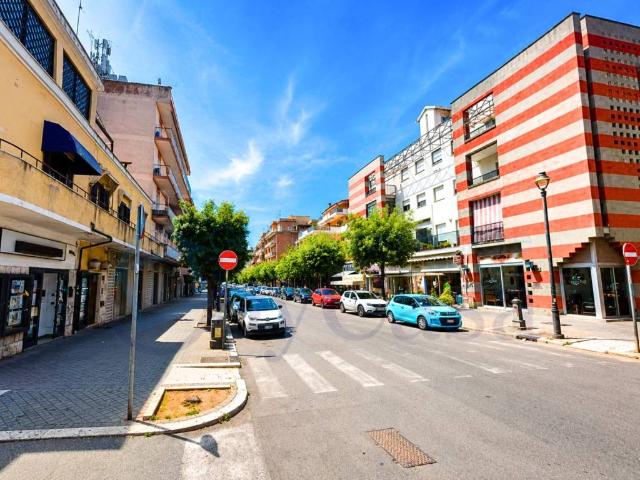 Appartamento in affitto a Ladispoli RM