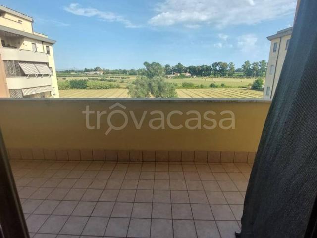 Appartamento in affitto a Latina via Cursori della Palude, arredato, box, terrazzo TrovaCasa