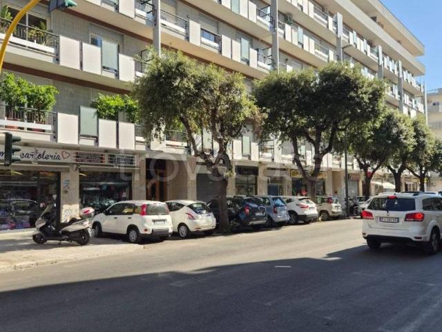 Appartamento in affitto a Lecce viale della Libertà, 60, arredato, box, ascensore TrovaCasa