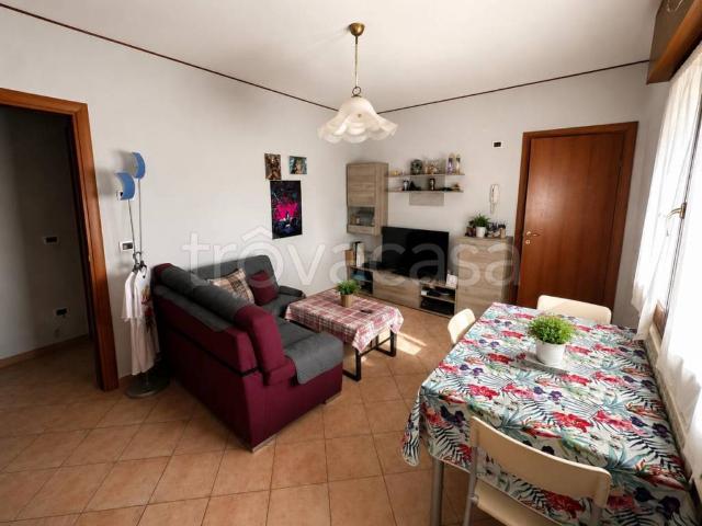 Appartamento in affitto a Legnago via Rovigo, non arredato/vuoto, arredato, box TrovaCasa