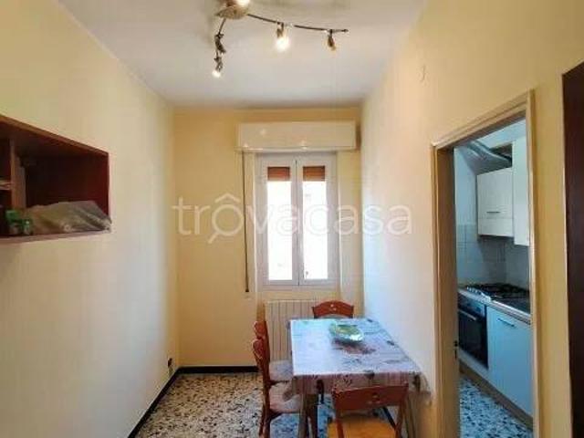 Appartamento in affitto a Loano via Giosuè Carducci, 11, ascensore, balcone, ripostiglio TrovaCasa