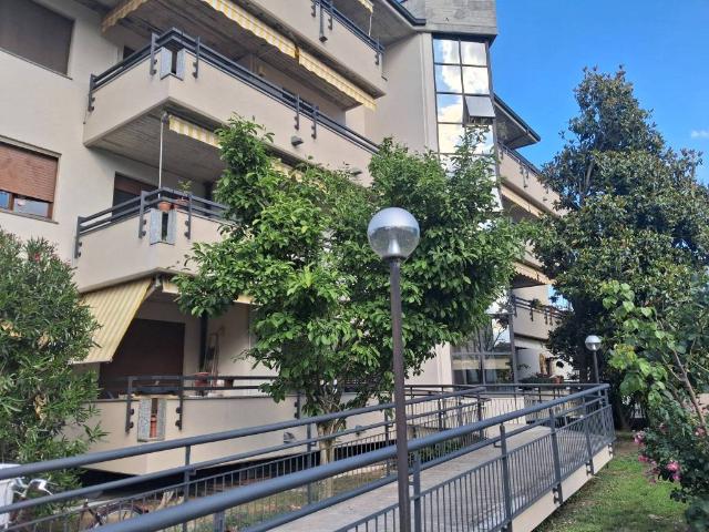 Appartamento in affitto a Lodi LO