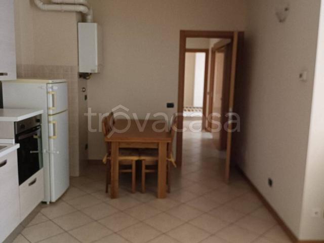 Appartamento in affitto a Lodi via Abate Luigi Anelli, arredato, box, terrazzo TrovaCasa