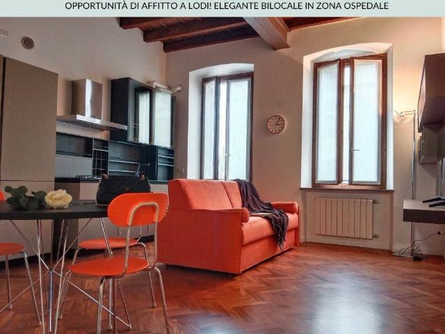 Appartamento in affitto a Lodi via Borgo Adda, 74, arredato, box, travi a vista TrovaCasa