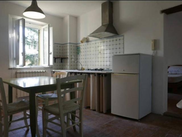 appartamento in affitto a palaia