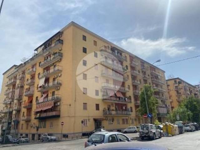 Appartamento in affitto a Palermo
