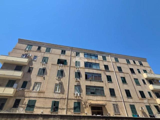 Appartamento in affitto a Palermo