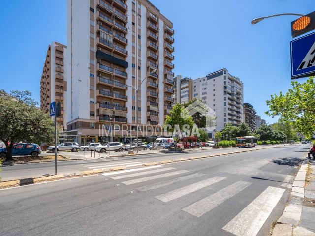 Appartamento in affitto a Palermo