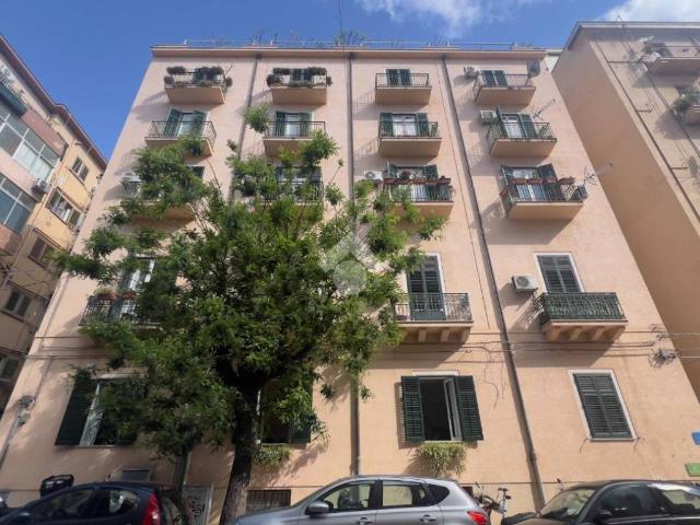 Appartamento in affitto a Palermo PA