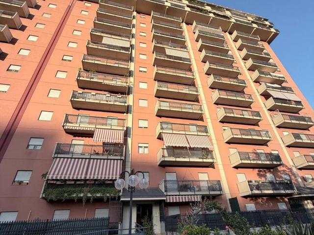 Appartamento in affitto a Palermo PA