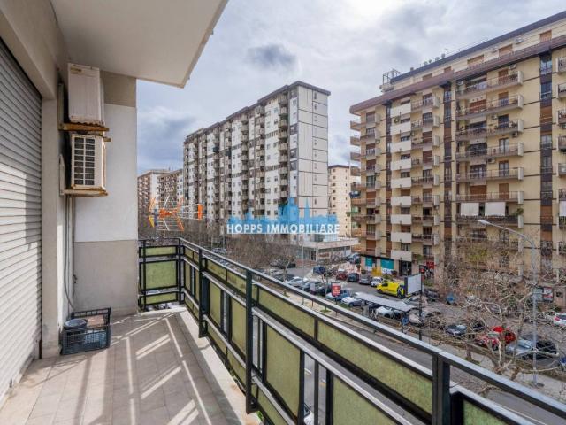 Appartamento in affitto a Palermo PA