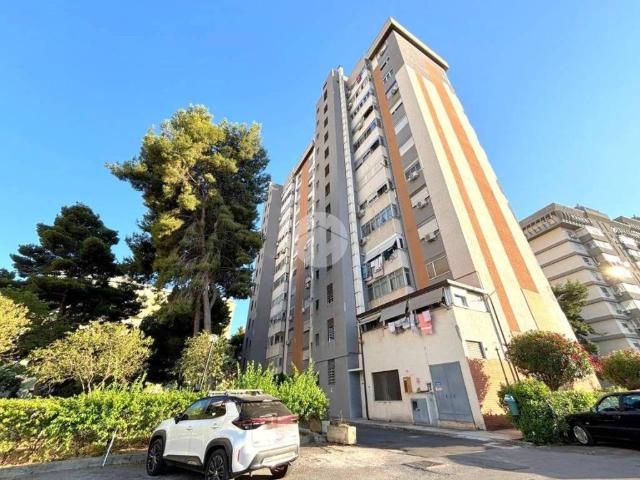 Appartamento in affitto a Palermo PA