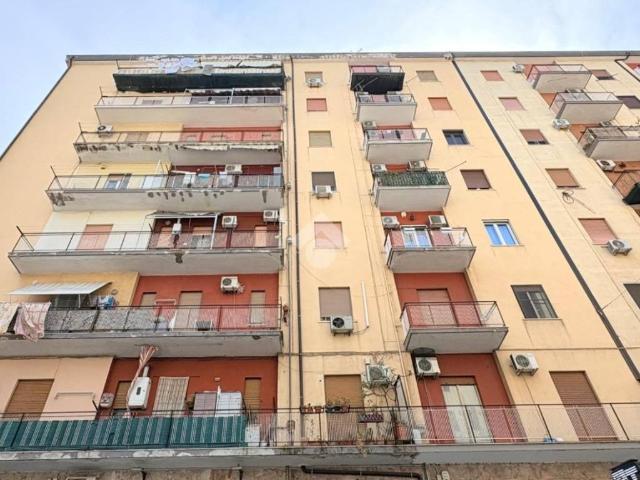 Appartamento in affitto a Palermo PA