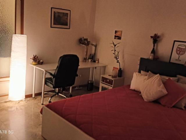 Appartamento in affitto a Parma viale Alberto Pasini, 8, arredato, balcone, cucina abitabile TrovaCasa