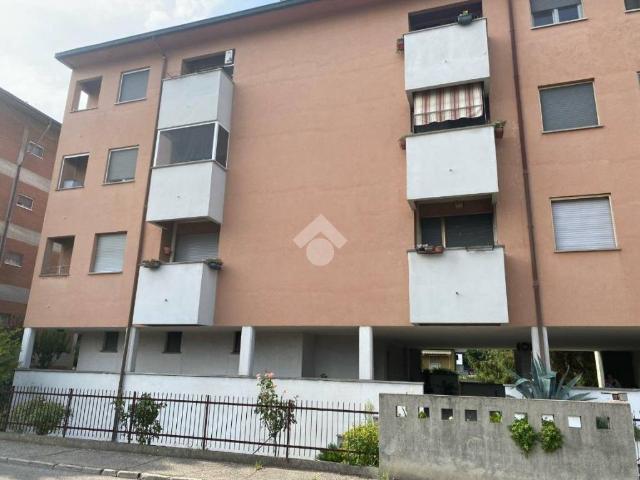 Appartamento in affitto a Pavia PV