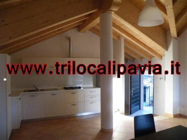 Appartamento in affitto a Pavia