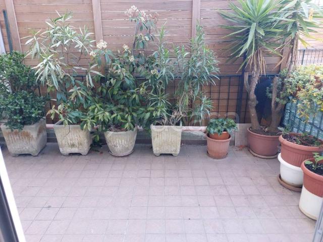 Appartamento in affitto a Pesaro, arredato, terrazzo, ascensore TrovaCasa