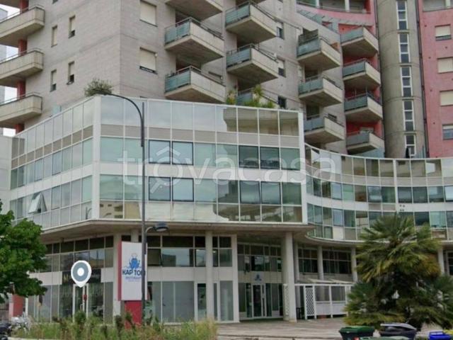 Appartamento in affitto a Pescara via Giovanni Falcone e Paolo Borsellino, 12, arredato, posto auto, box TrovaCasa