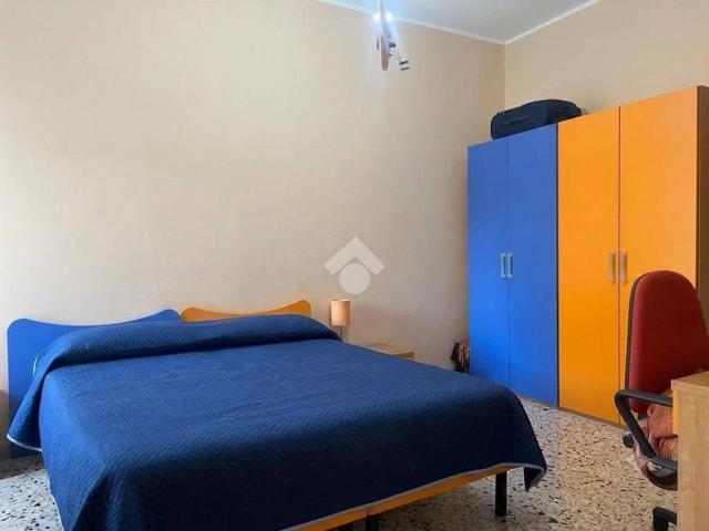 Appartamento in affitto a Perugia PG