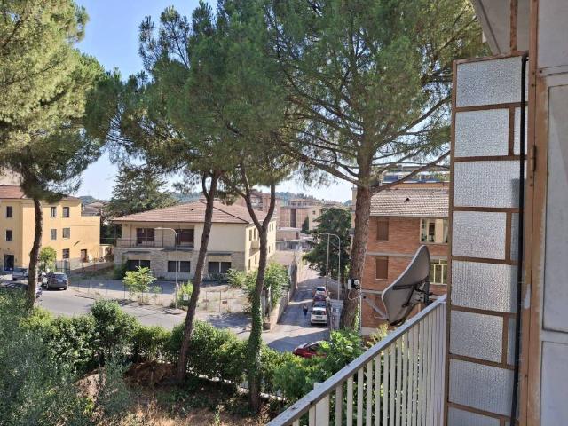 Appartamento in affitto a Perugia PG