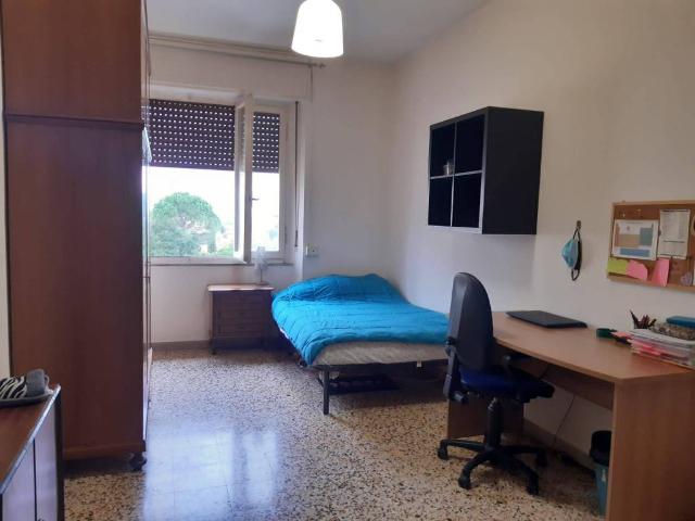 Appartamento in affitto a Perugia PG