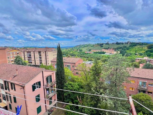 Appartamento in affitto a Perugia PG