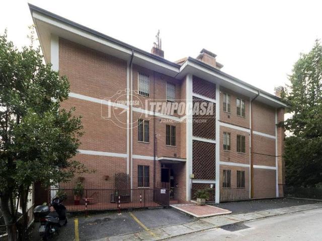 Appartamento in affitto a Perugia PG
